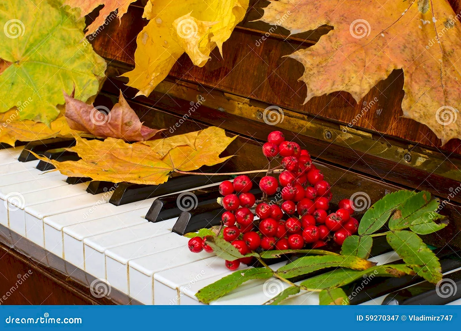 Осенний рояль