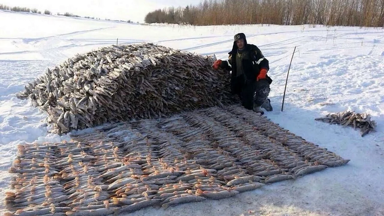 Осипов мунха