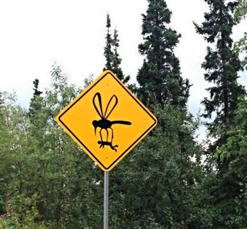Осторожно комары