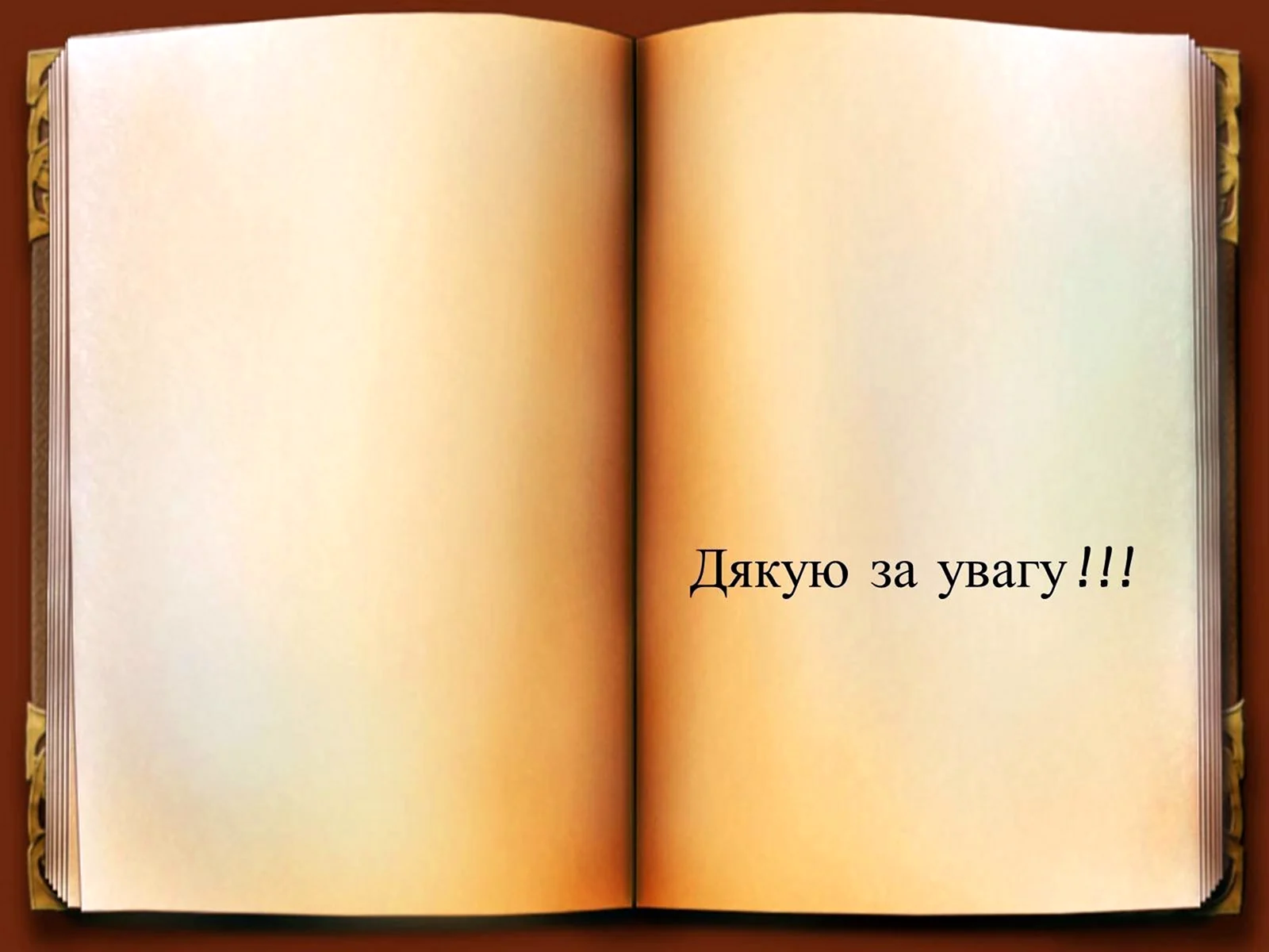 Фон развернутая книга (68 фото)