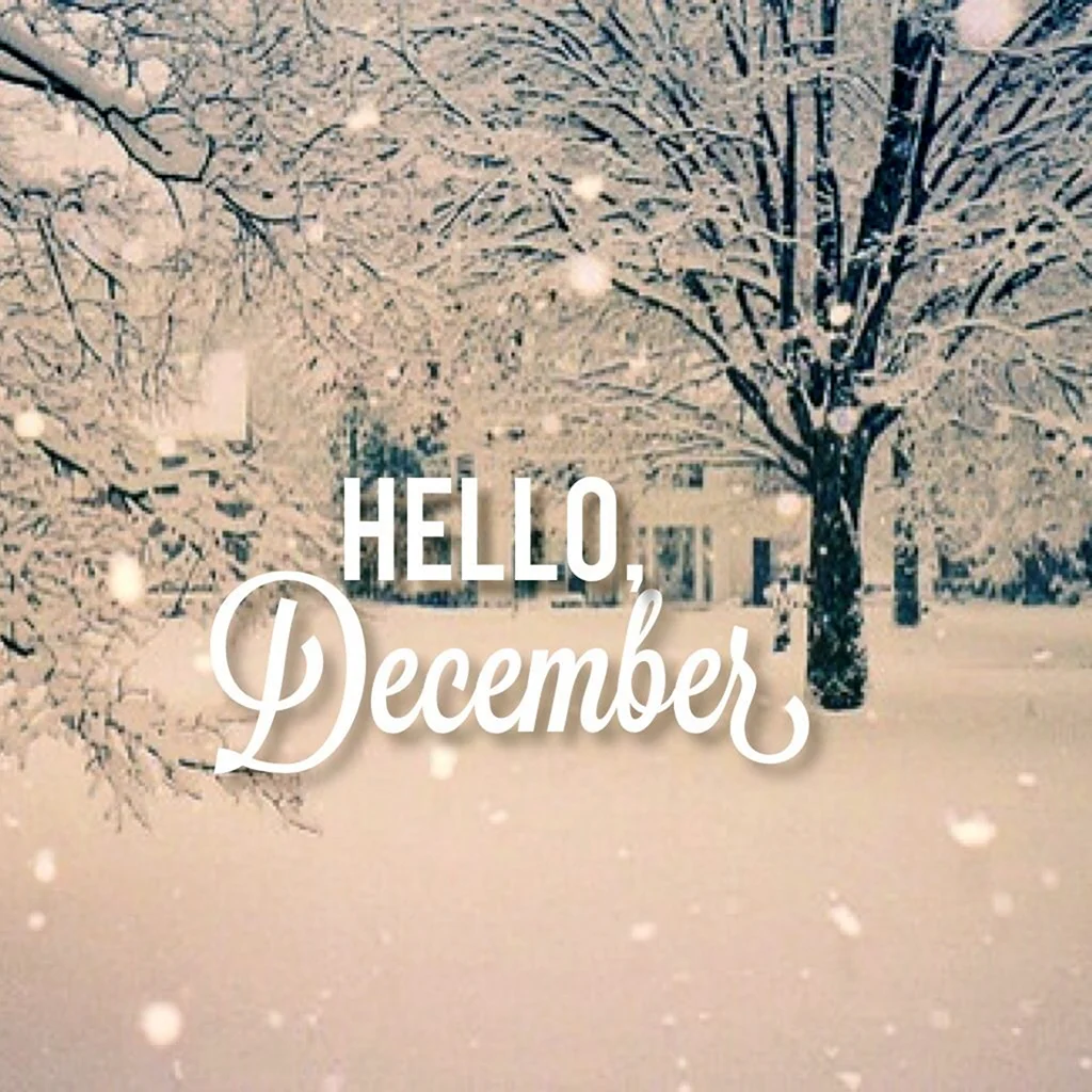 Открытки hello December