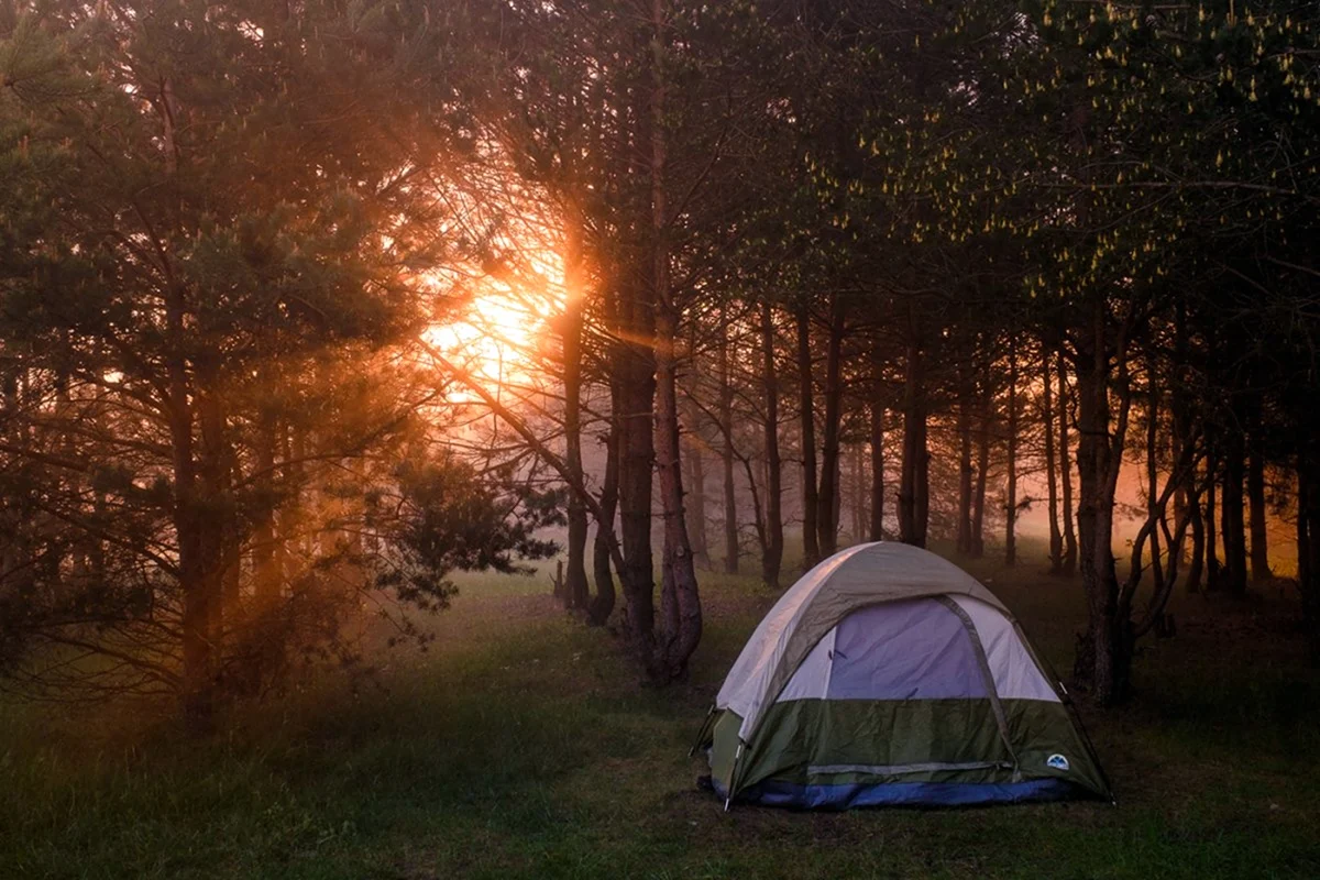 Палатка в лесу