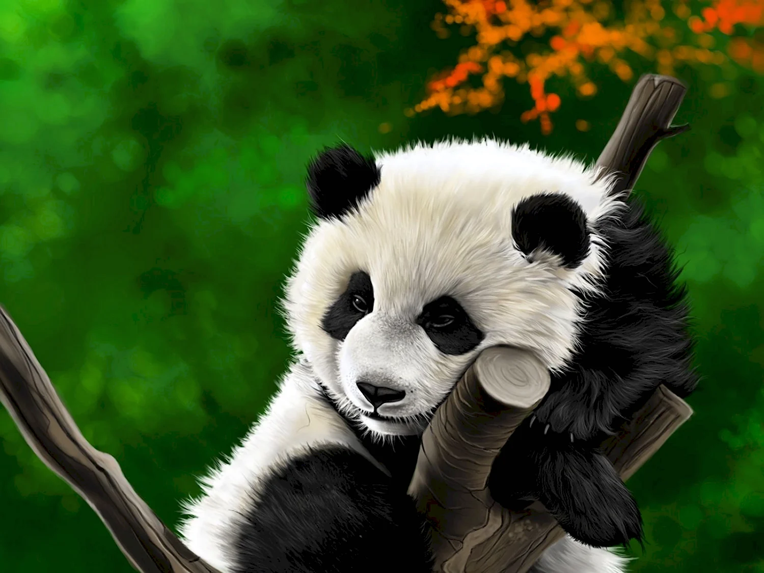 Милые панды для срисовки - фото и картинки биржевые-записки.рф