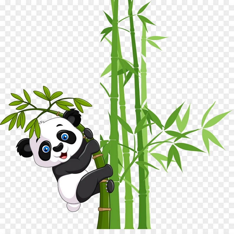 Панда Bamboo