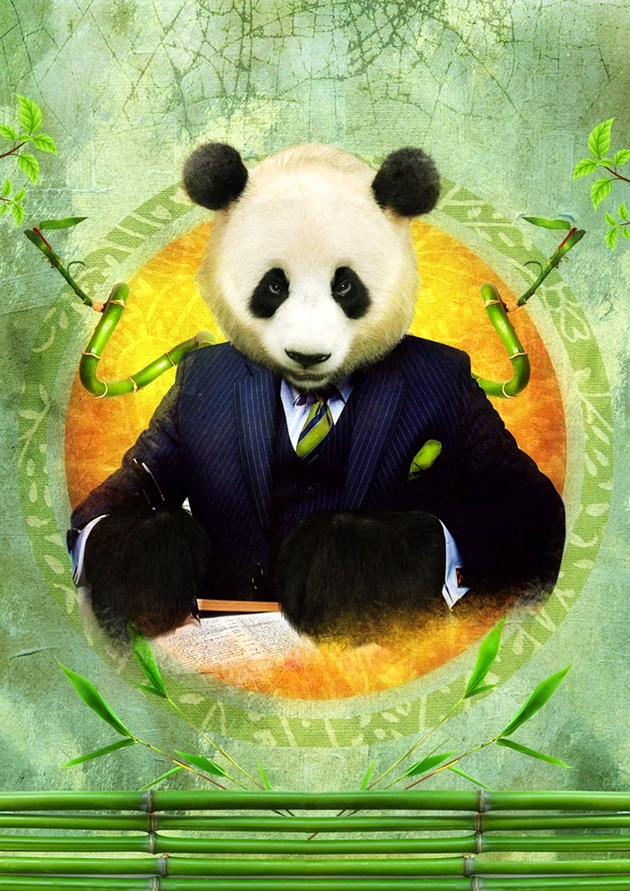 Панда портрет