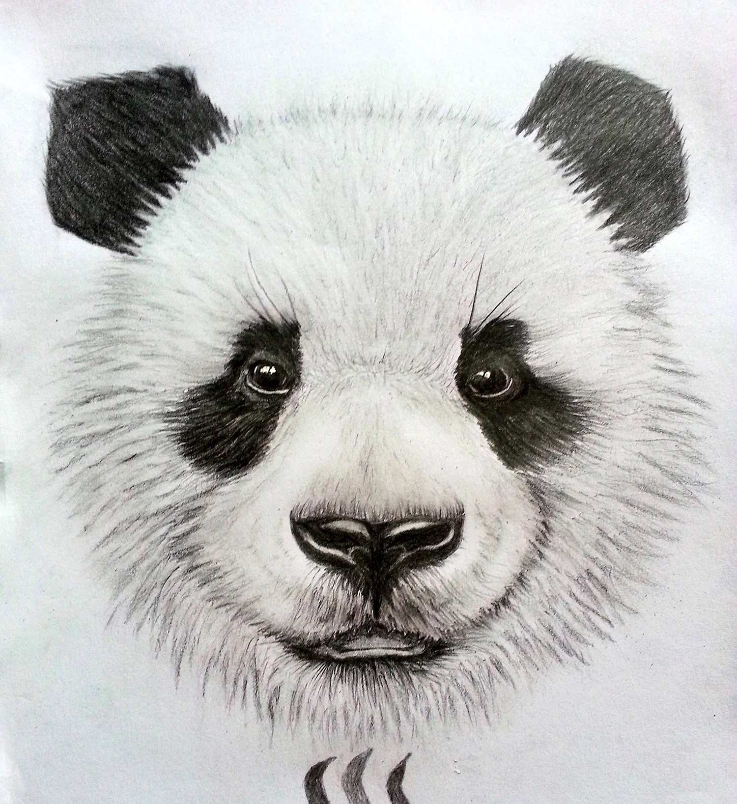 Рисунок панды: 120+простых и интересных идей для срисовки