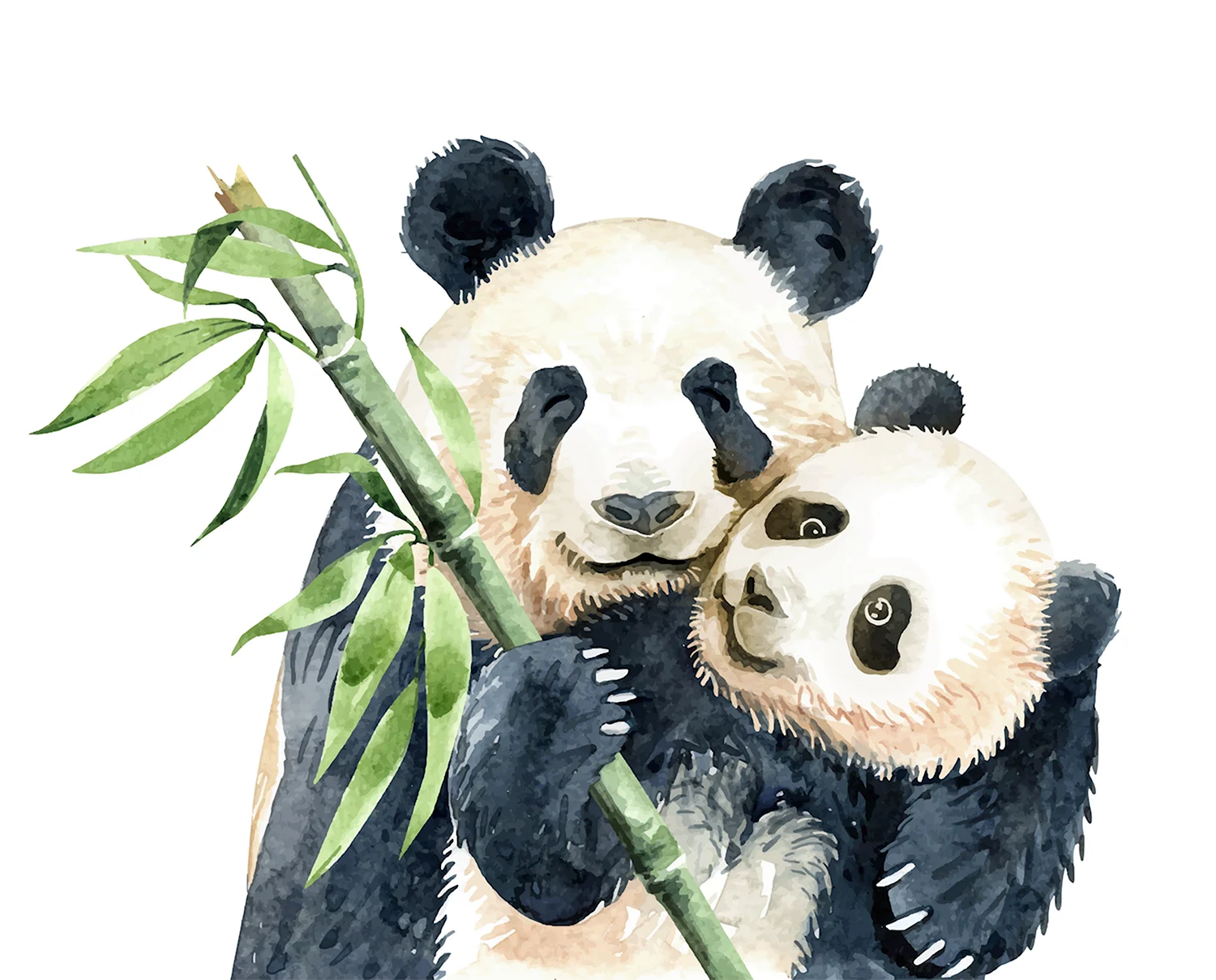 Панда с бамбуком рисунок