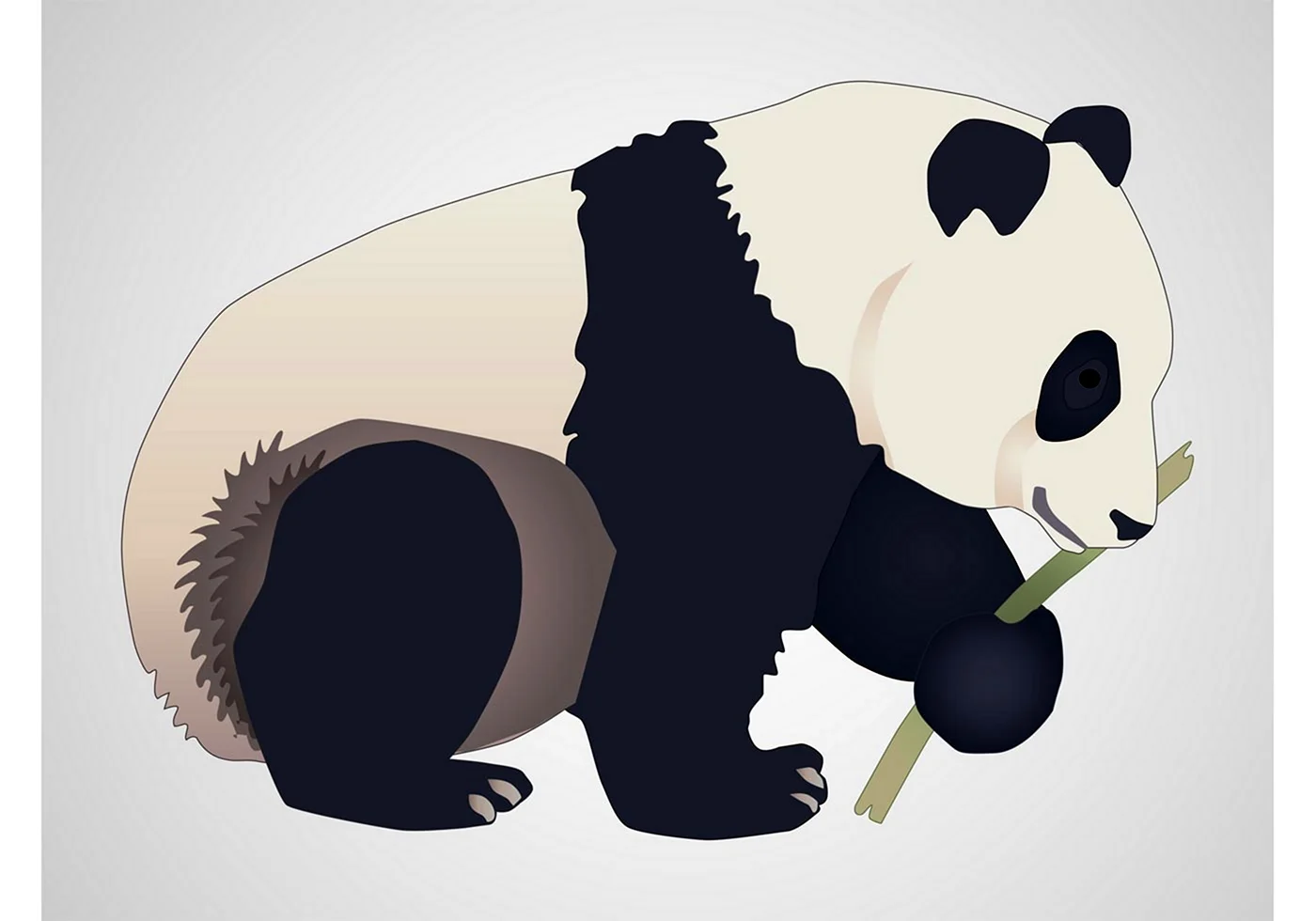 Панда в профиль