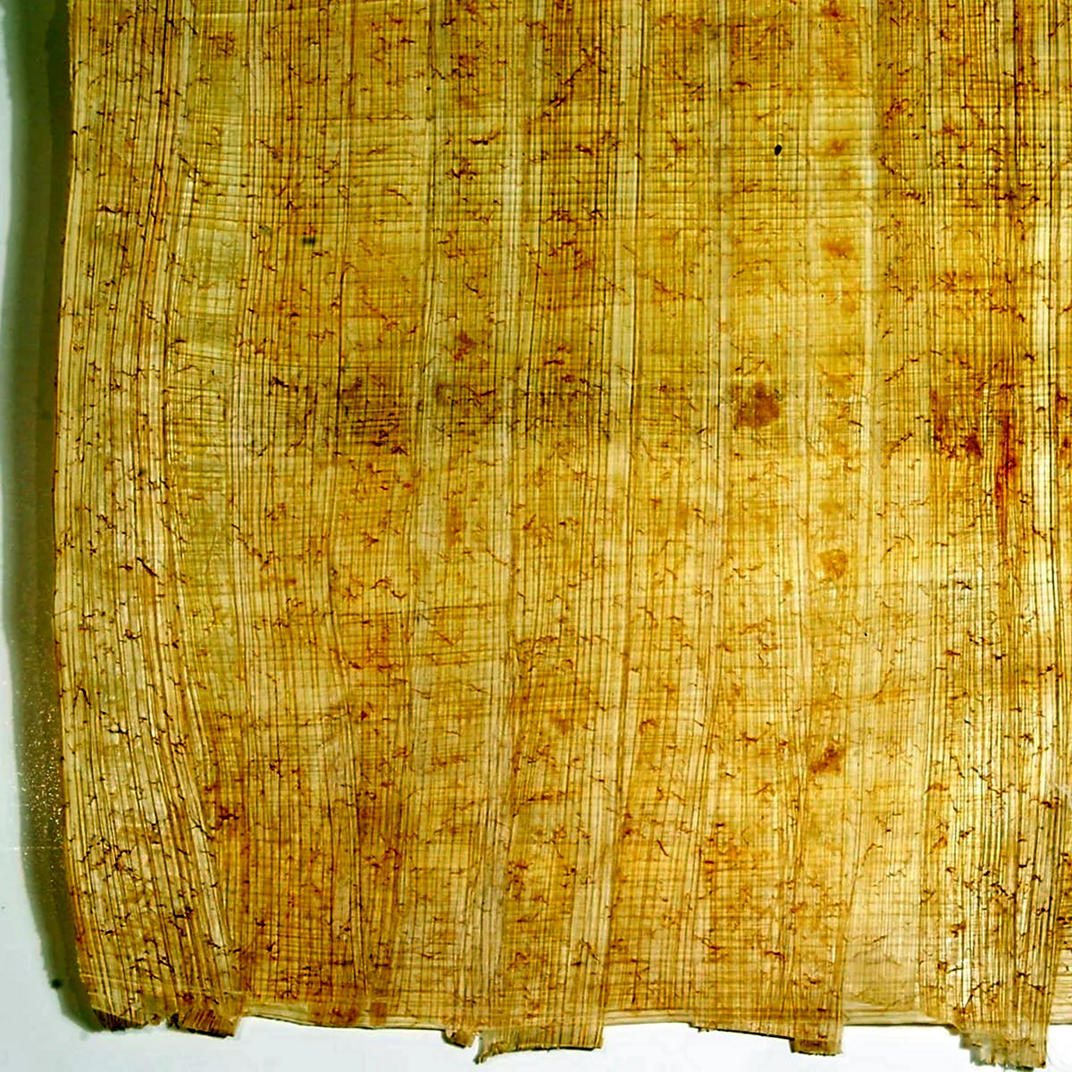 Папирус бумага древний Египет