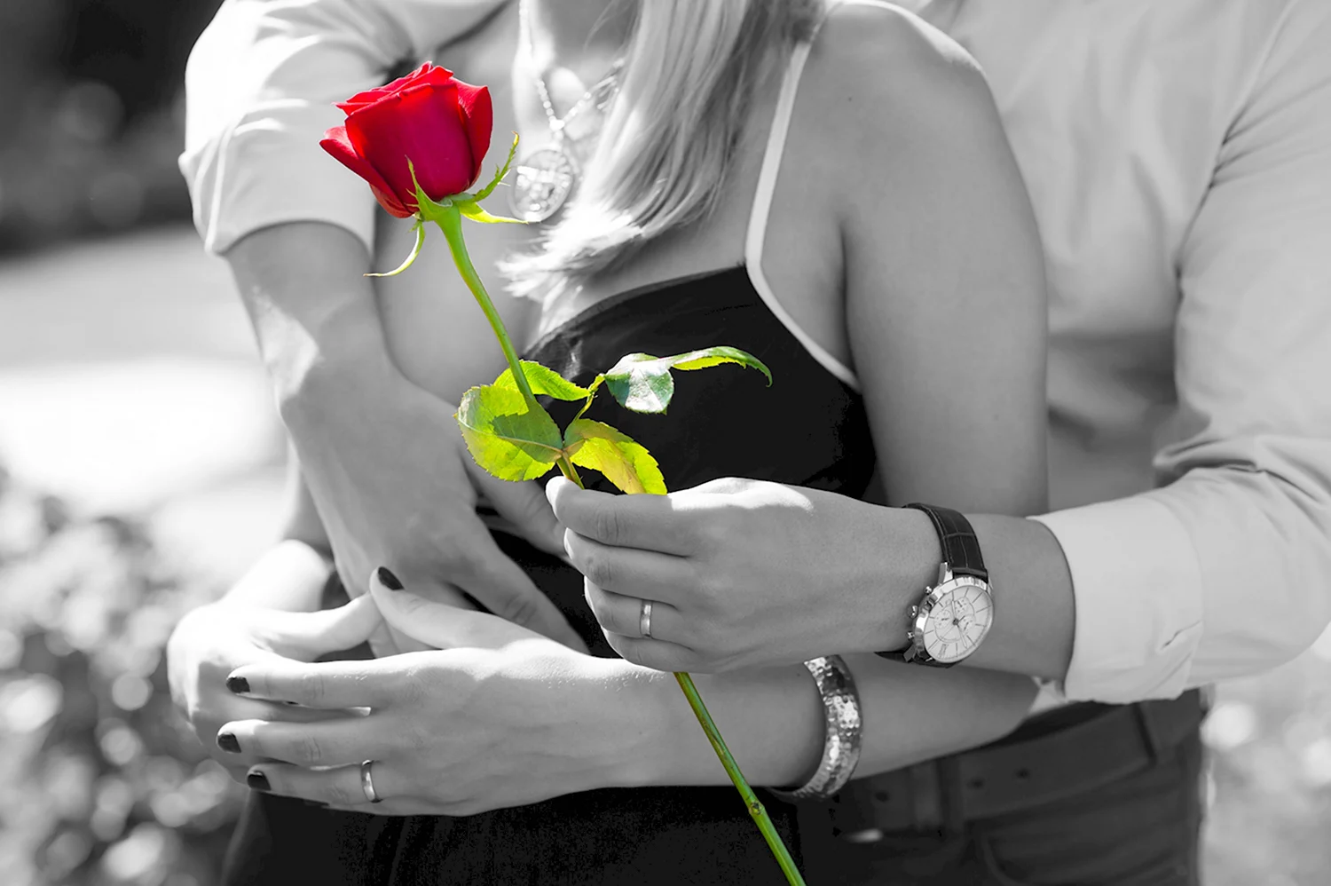 Парень дарит розы девушке