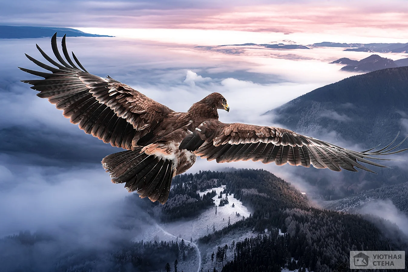 Парящий Орел над горами картина маслом