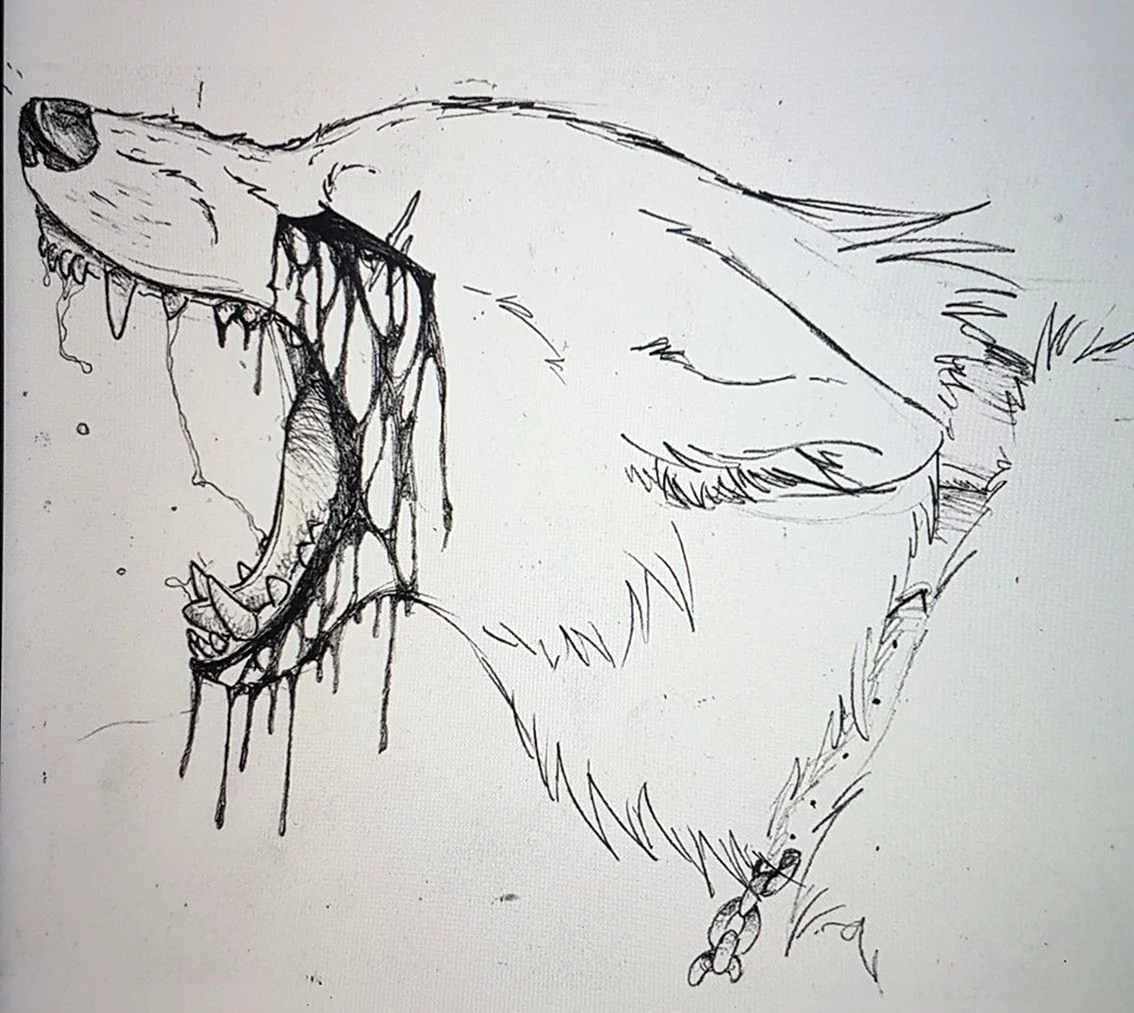 Пасть волка рисунок