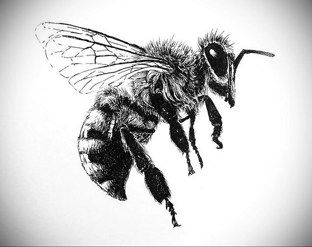 Пчела Графика