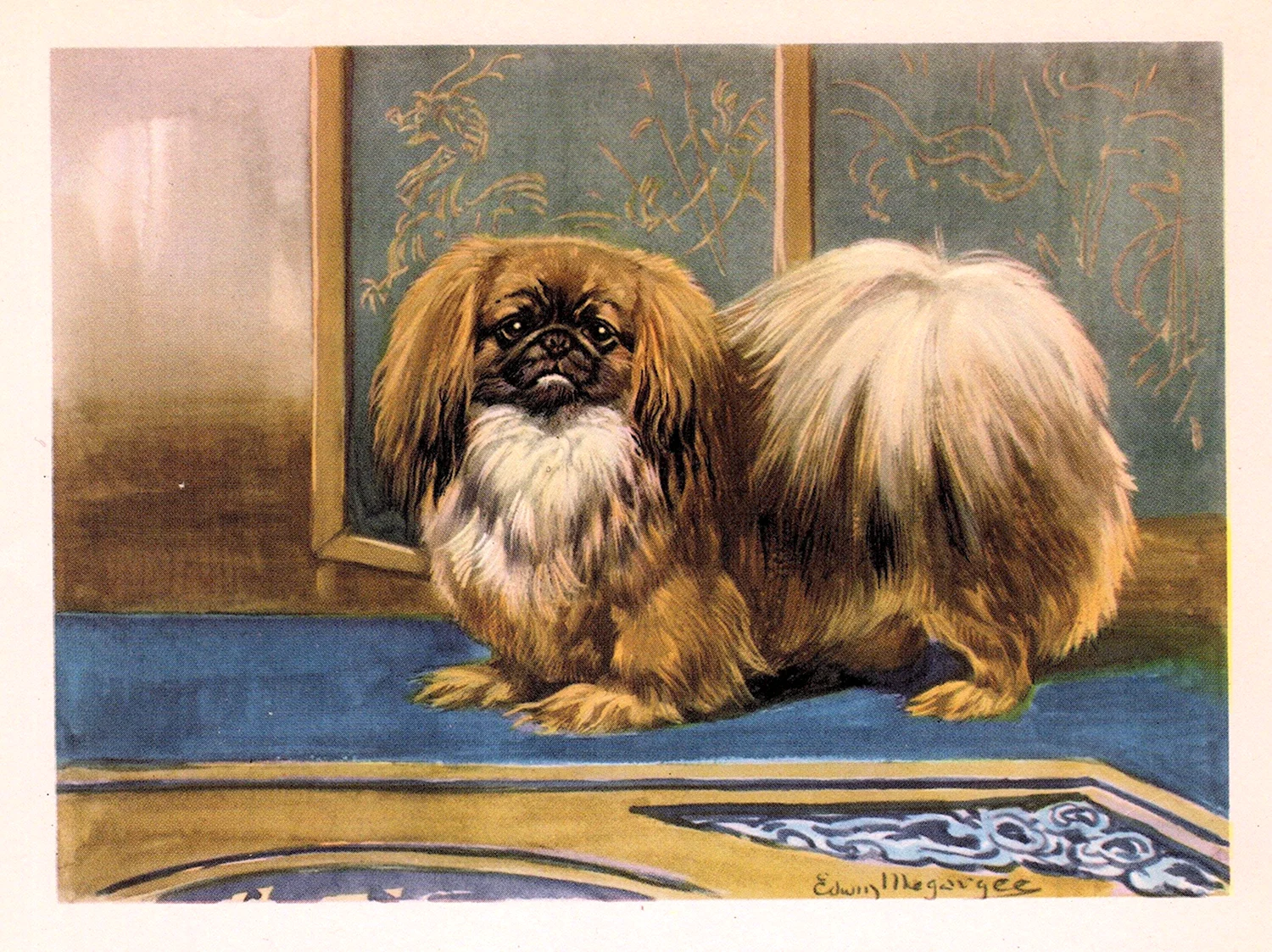 Пекинес. Собака императора