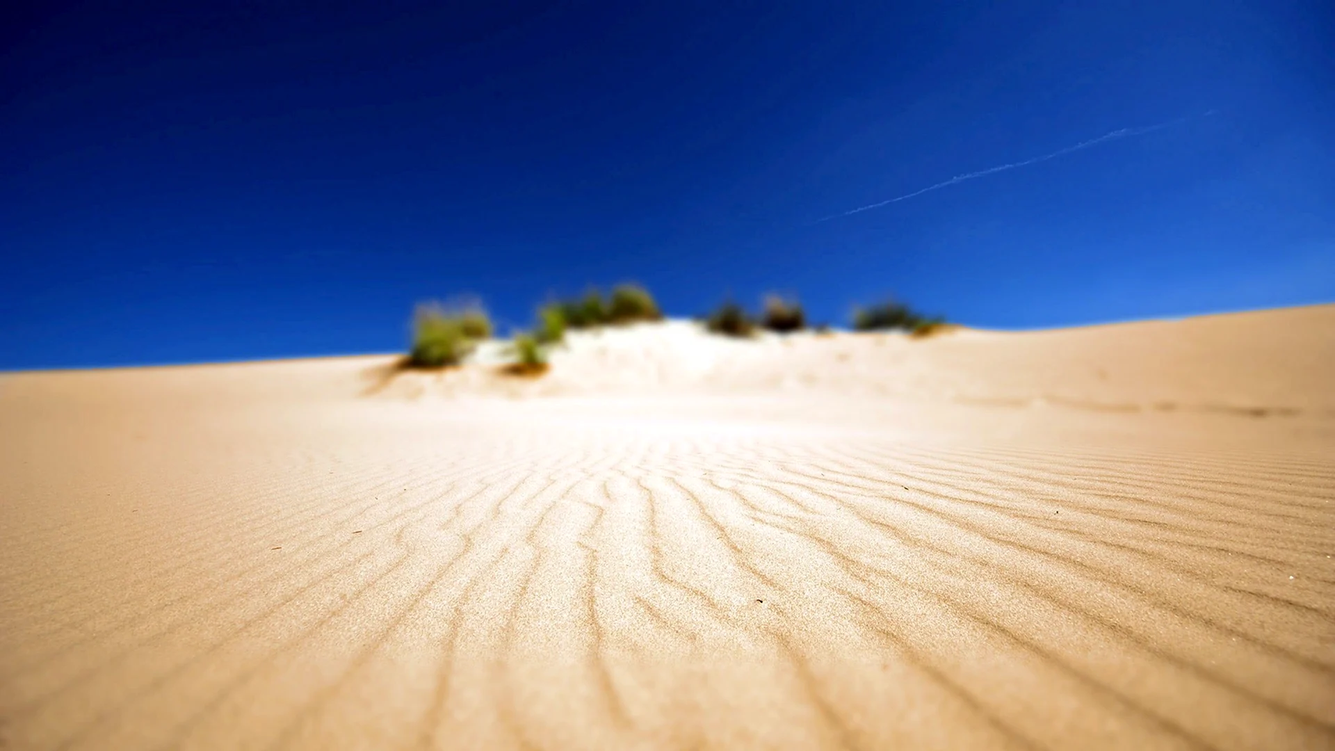 Песчаная пустыня Рмель-Эль-Абиод