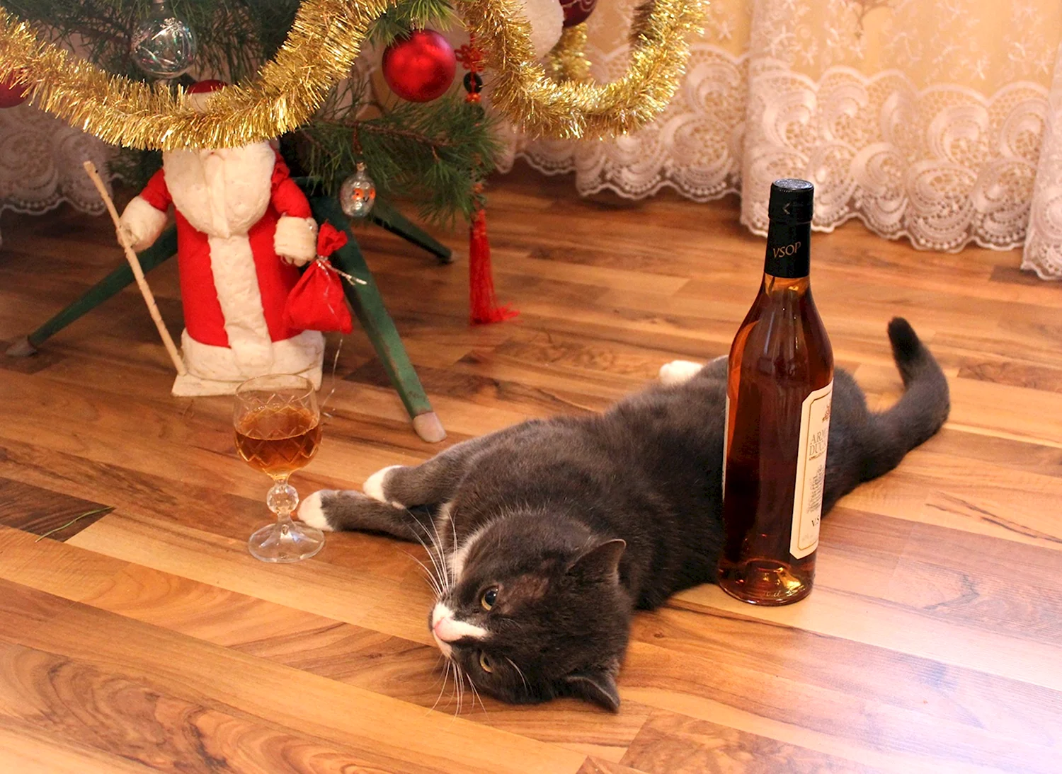 Пьяный кот под елкой