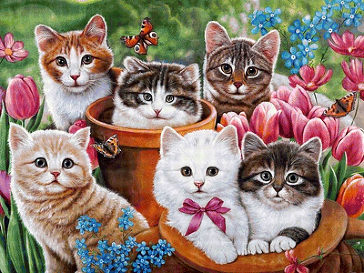 Пять разноцветных котят