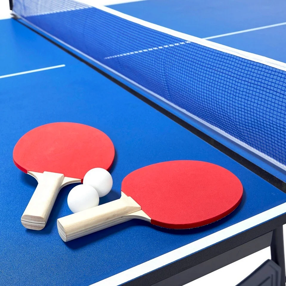 Пинг-понг и настольный теннис