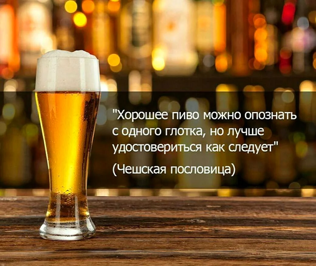 Попью добрый. Цитаты про пиво. Афоризмы про пиво. Фразы про пиво. Пятница пиво.
