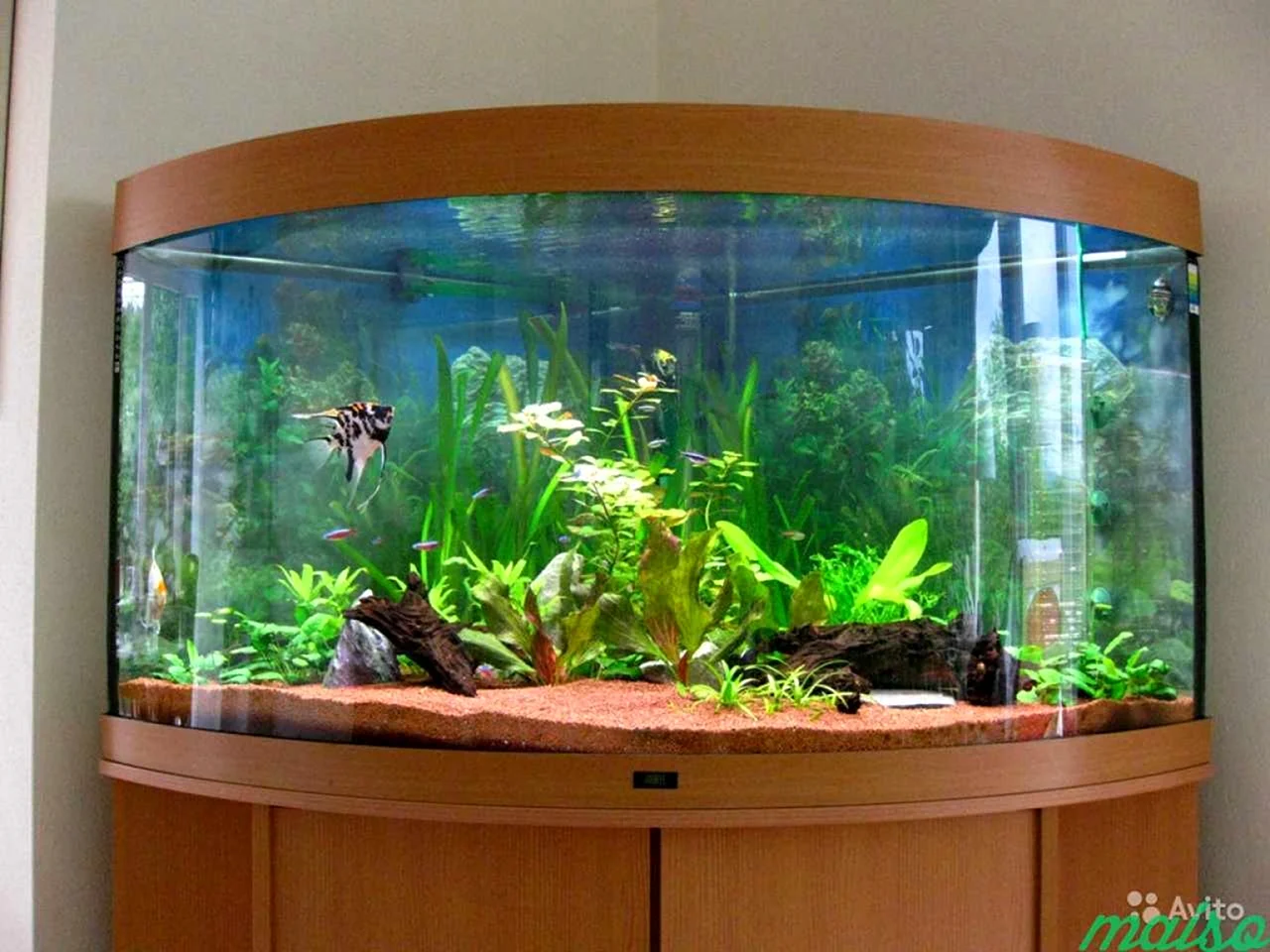 Полукруглый аквариум на 60 литров
