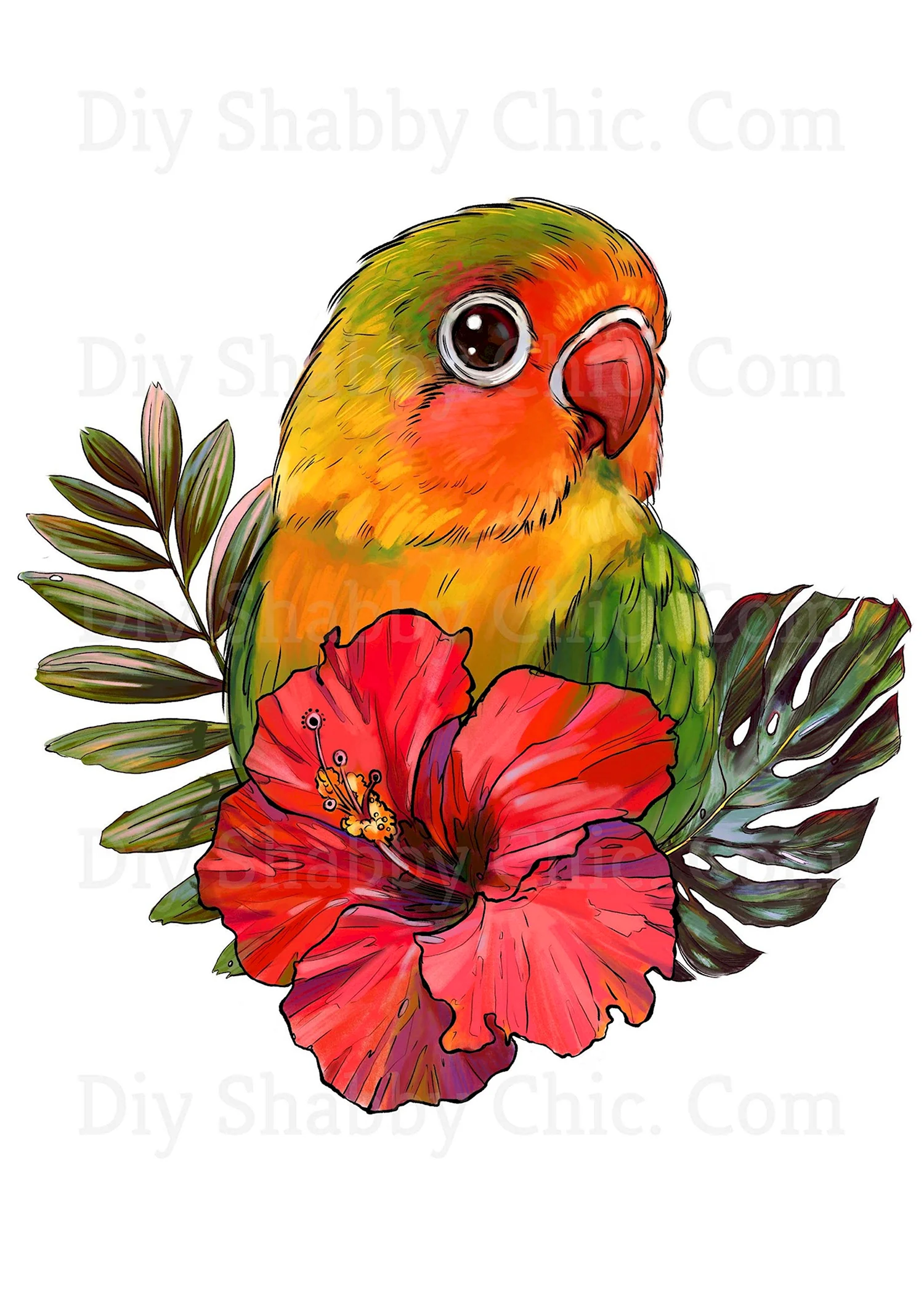 Рисунки попугаев для срисовки (84 фото)