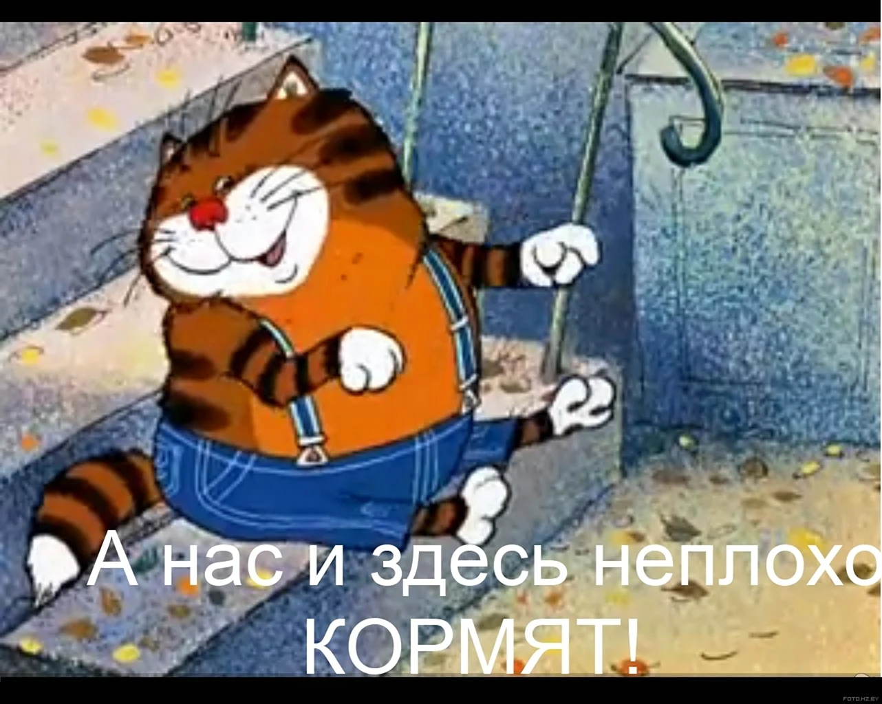 Попугай Кеша мультфильм кот