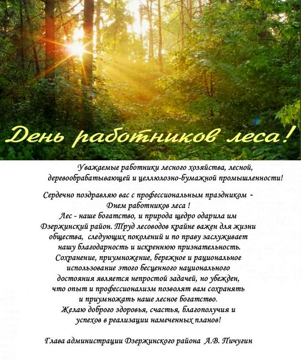 Сыктывкарский лесной институт — Поздравления с Днем работников леса