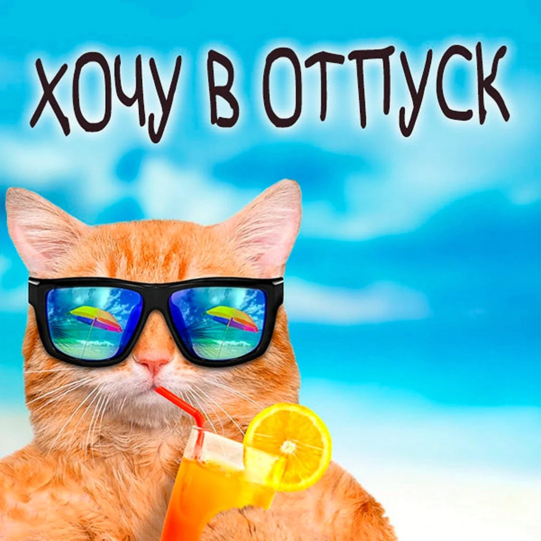 Веселый отпуск