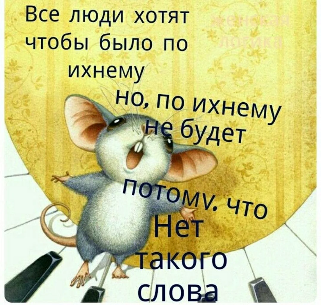 Моя 