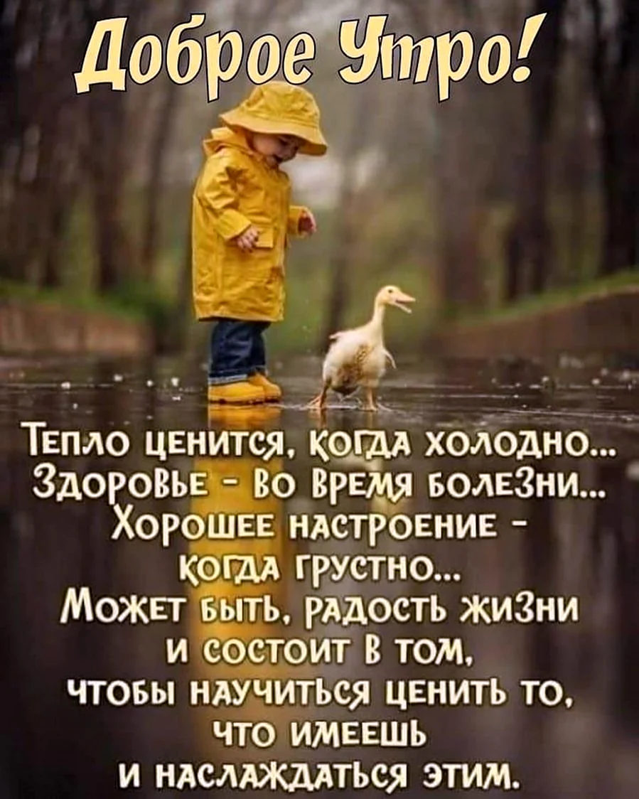  Mailru       quot quot