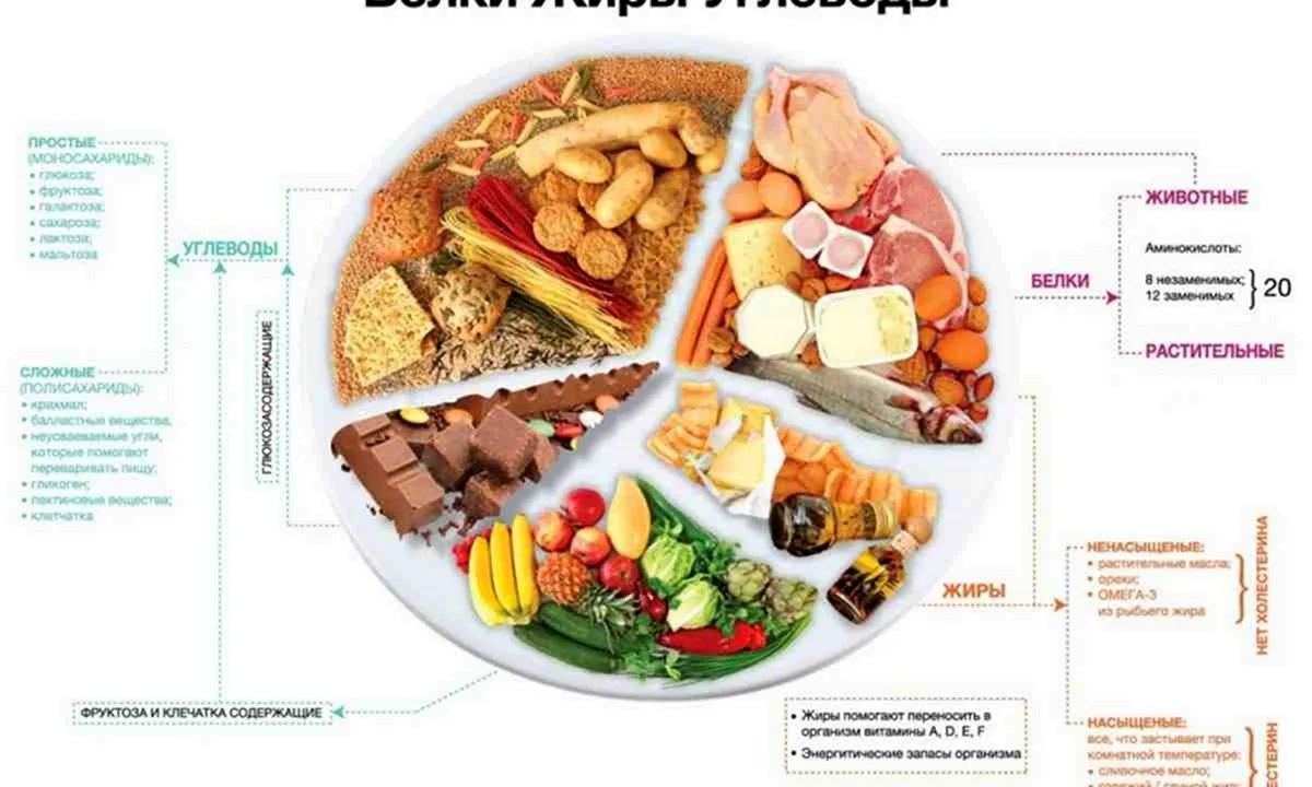 Калькулятор перевода белков, жиров и углеводов в калории