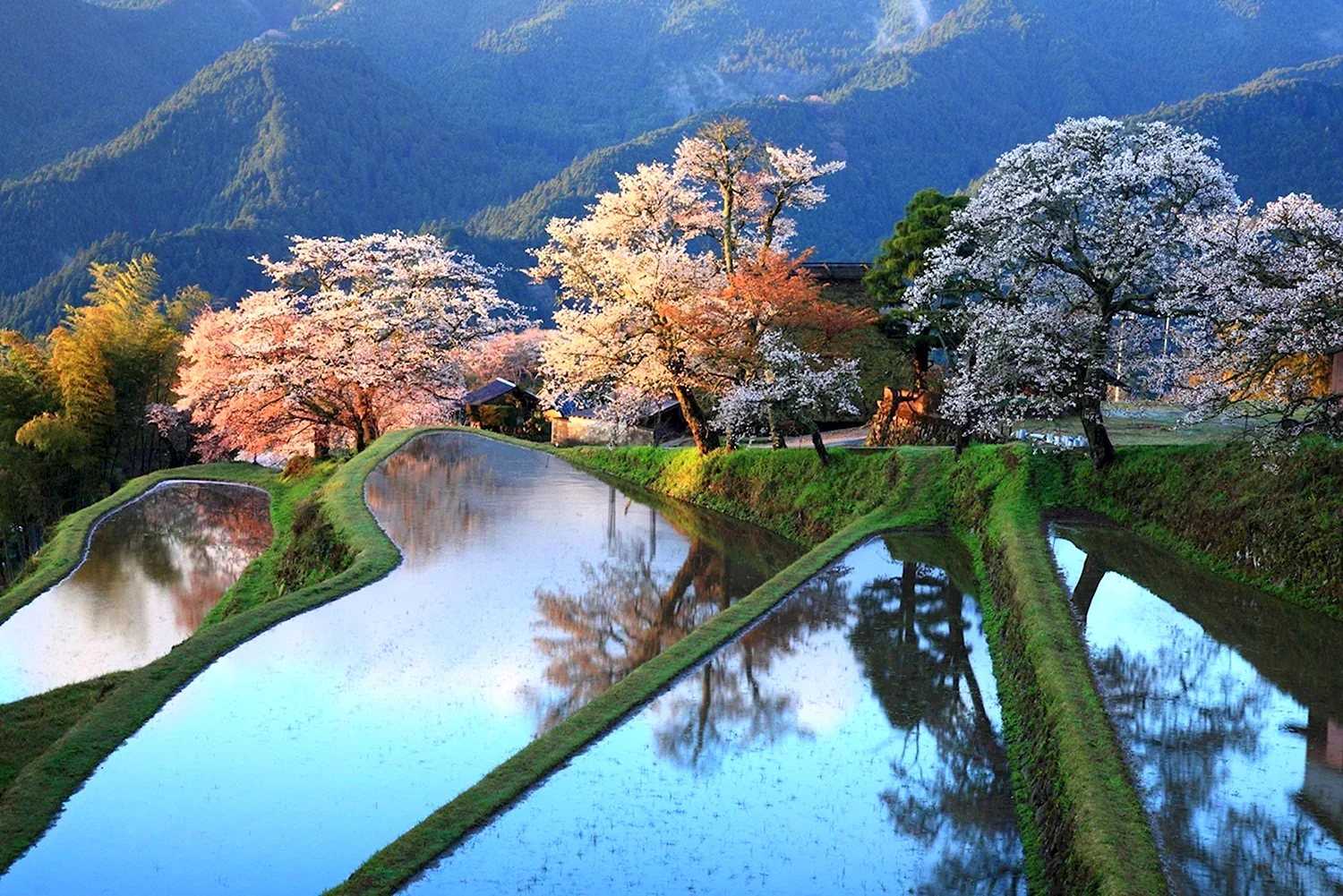 Природа Японии
