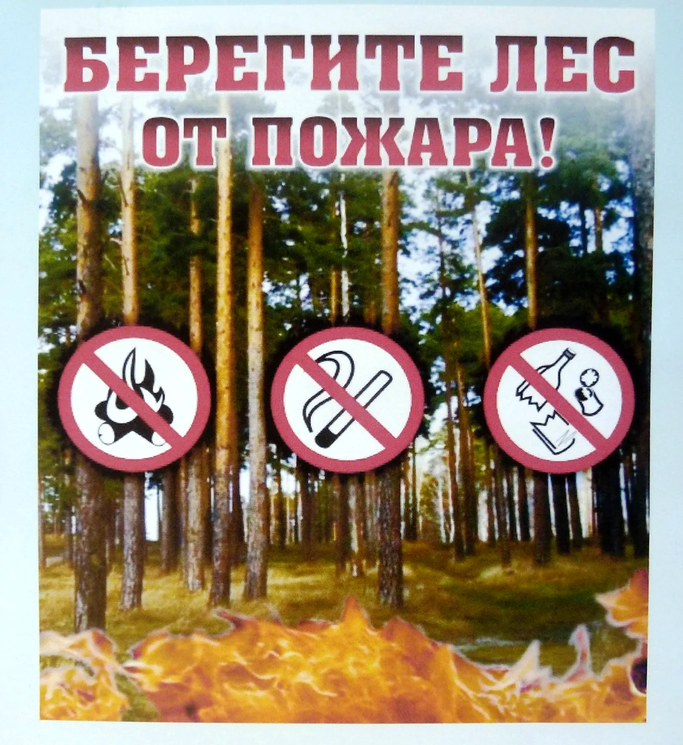 Противопожарные листовки в лесу