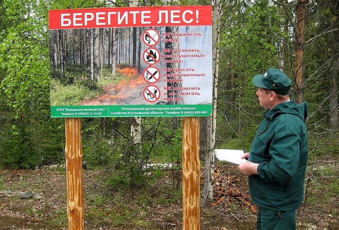 Противопожарные мероприятия в лесах
