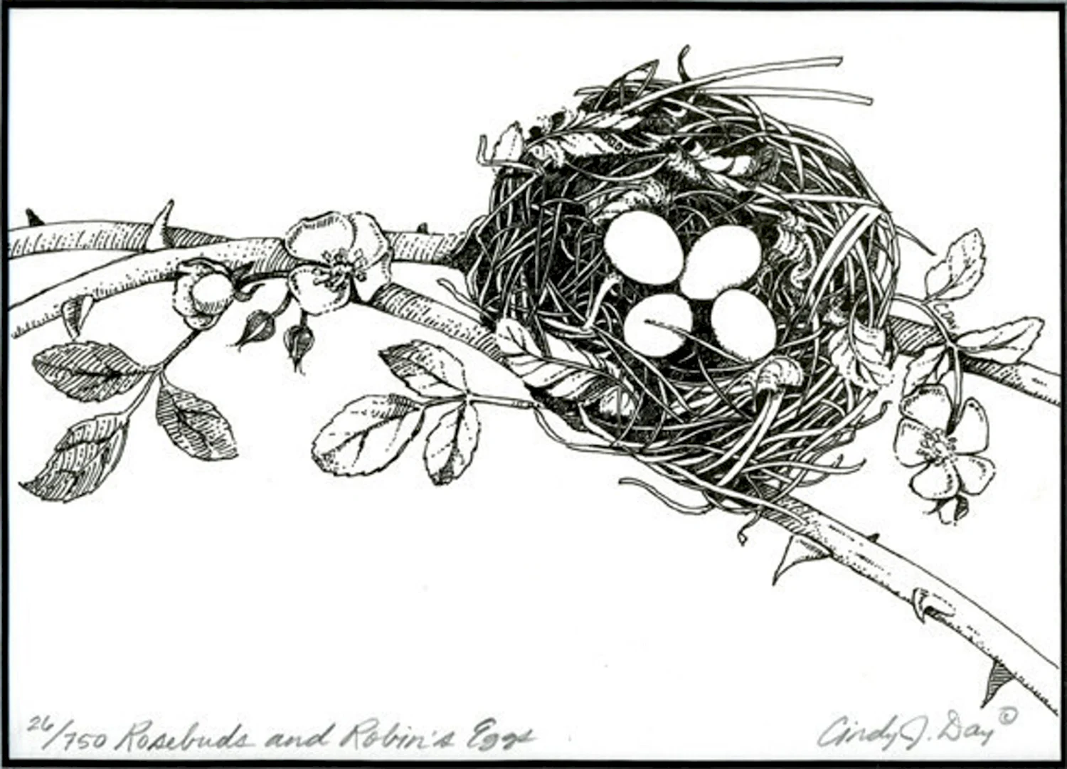 Птичье гнездо схематично