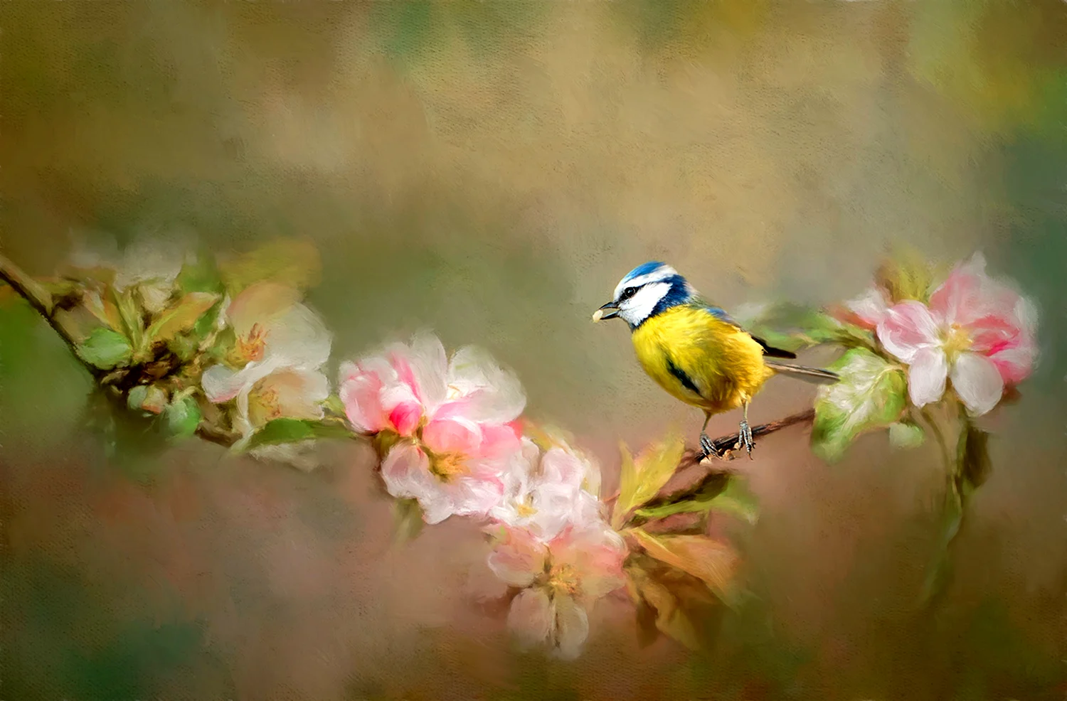 Птица на ветке с цветами
