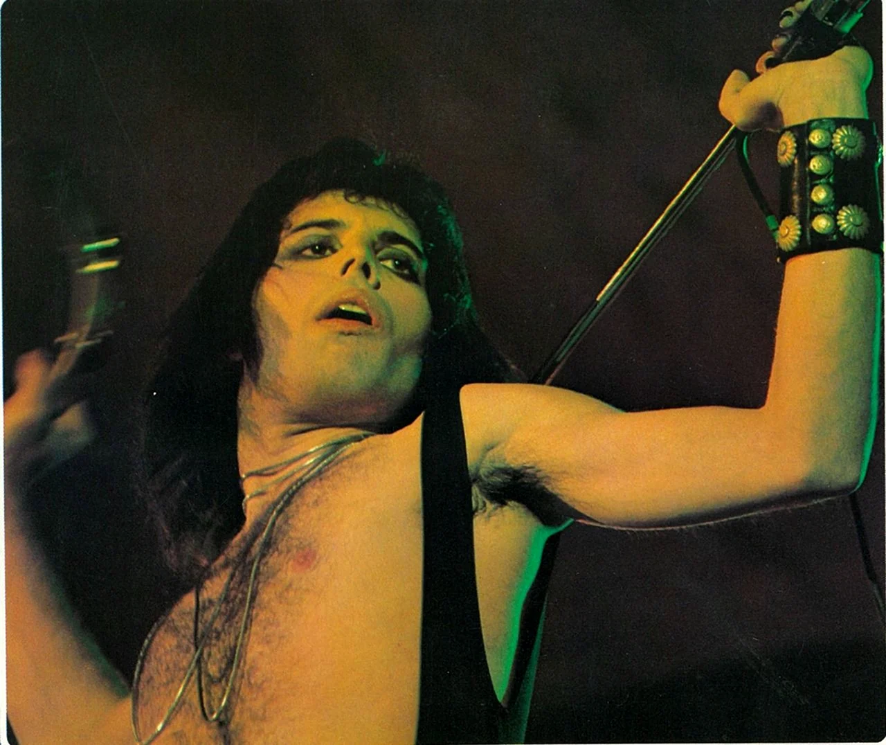 Queen Freddie Mercury 1976