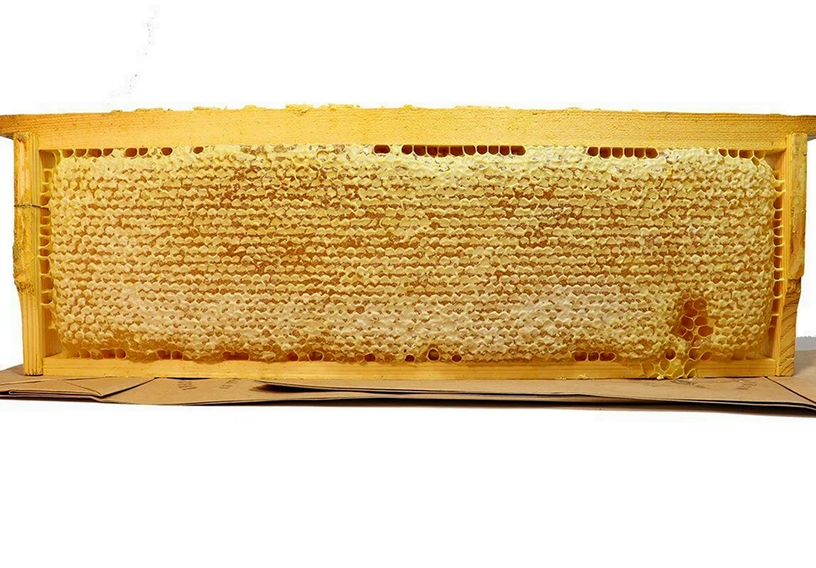 Рамка ру 145 сотовый мед