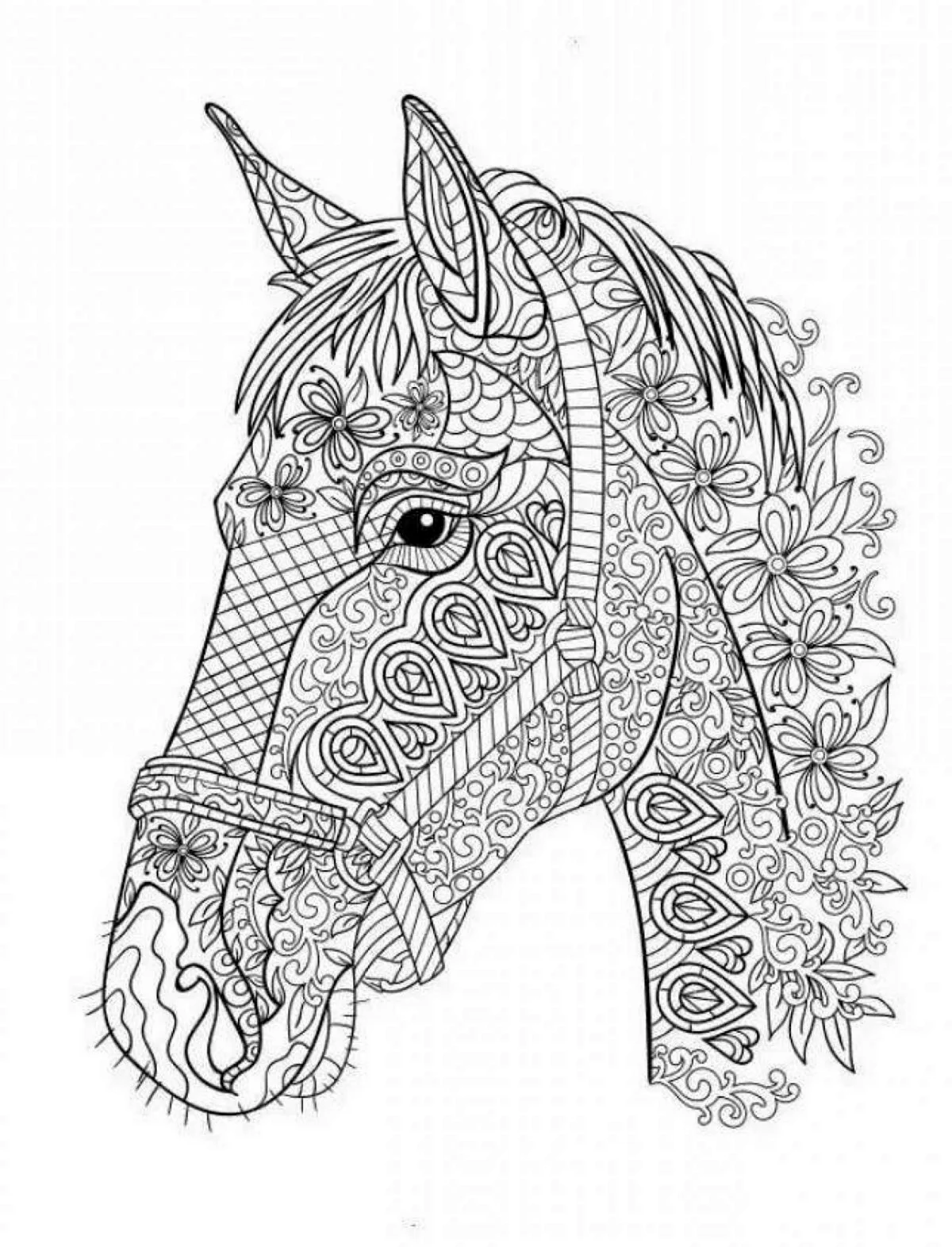 Раскраска антистресс конь