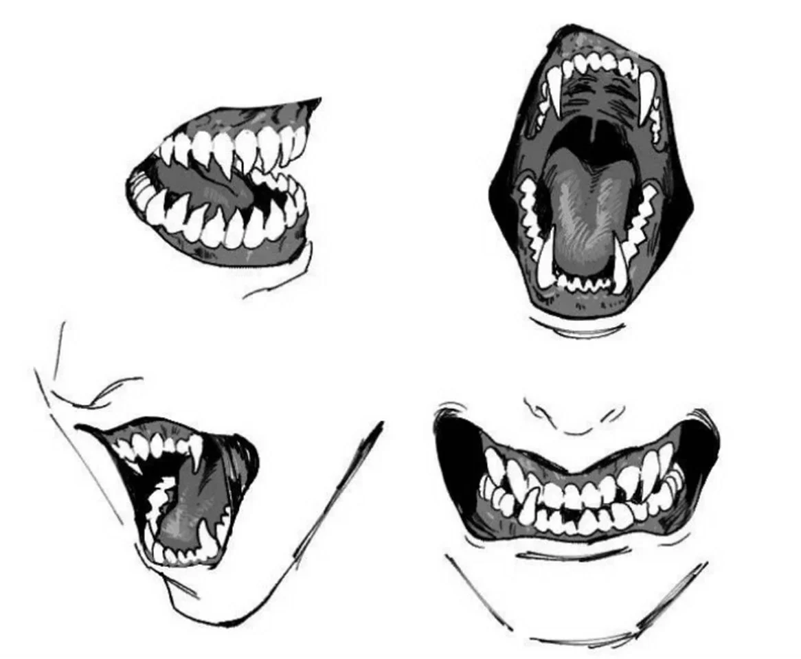 Референс зубы с клыками