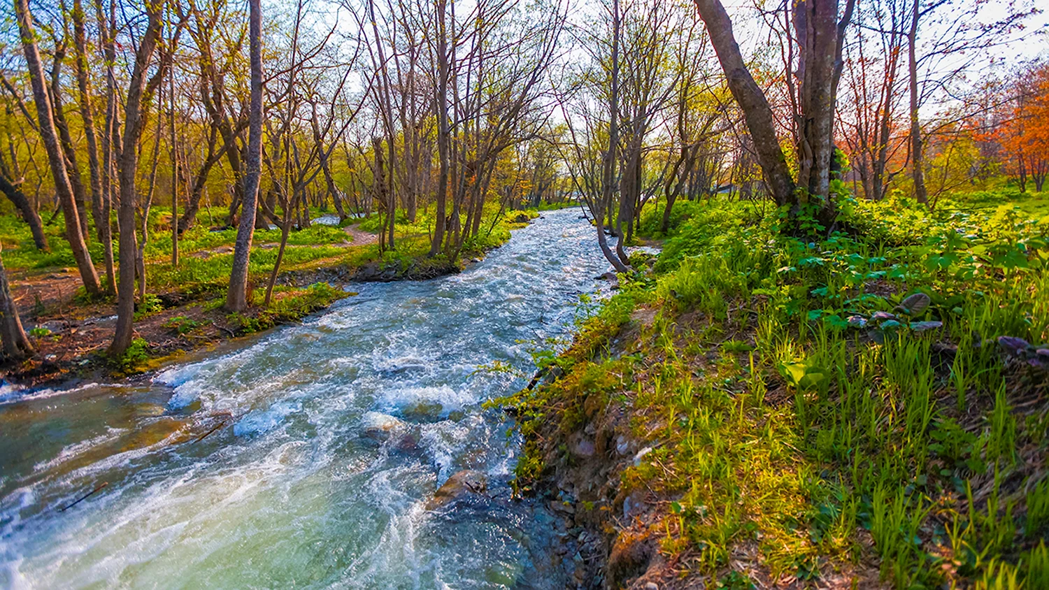 Река ранняя Весна Исаак