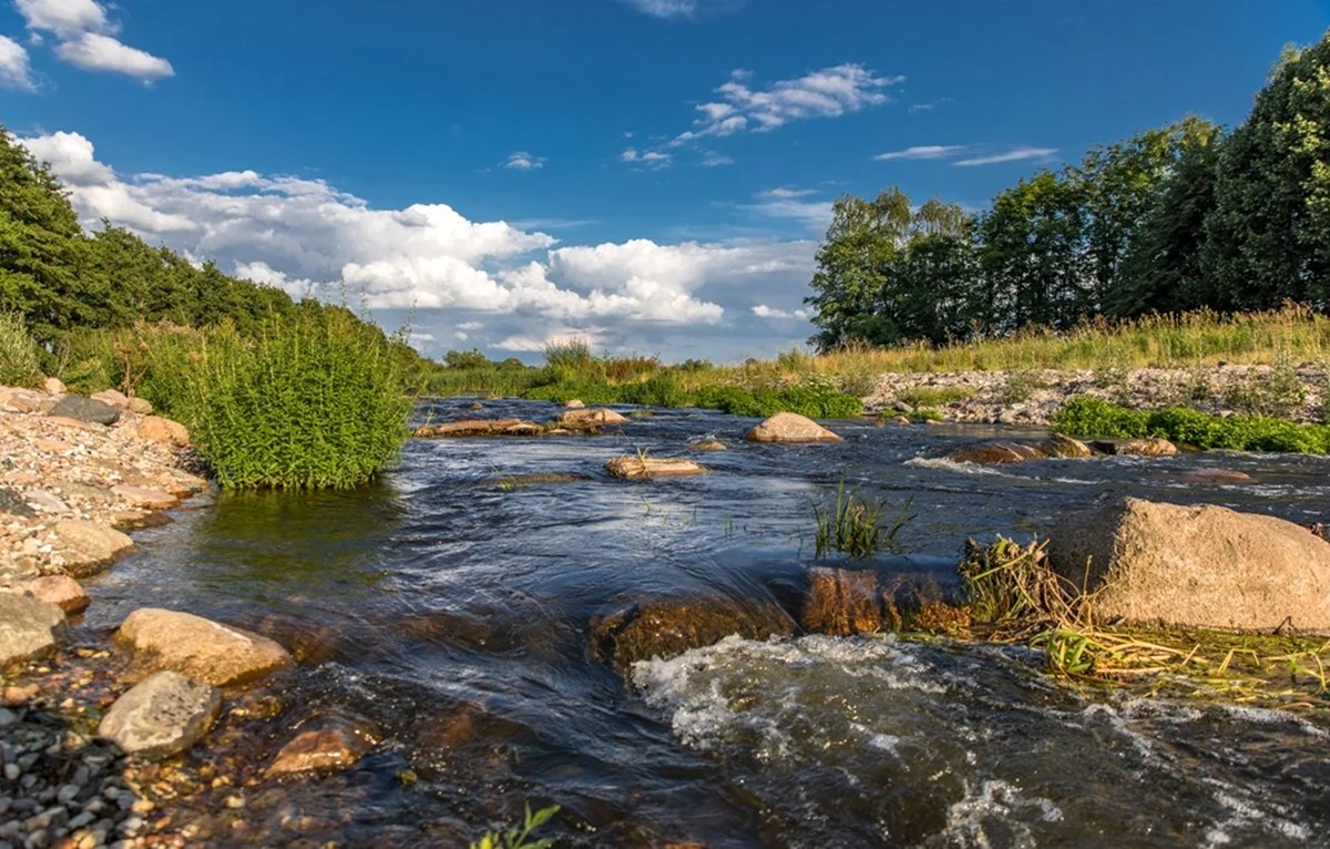 Река Вожа Рязанская область