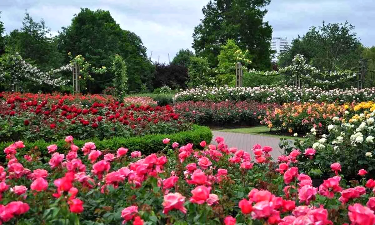 Peradeniya Royal Botanical Gardens | Ландшафтный дизайн садов и парков