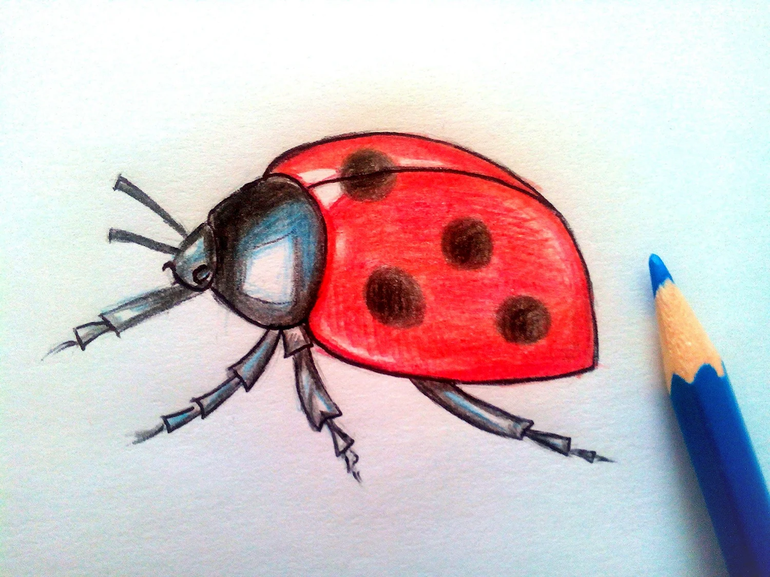 Рисование насекомые