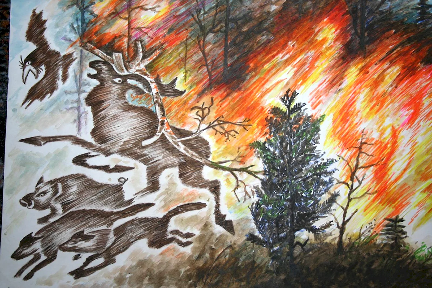 Рисование пожар в лесу