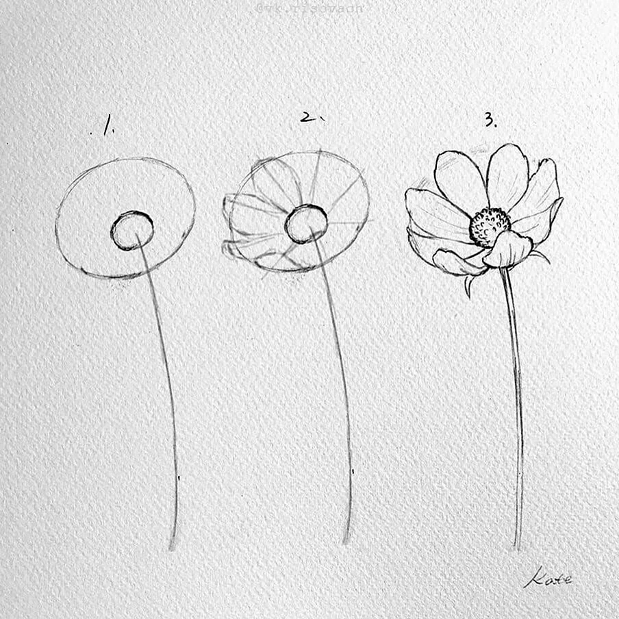 Как нарисовать цветок карандашом ✏