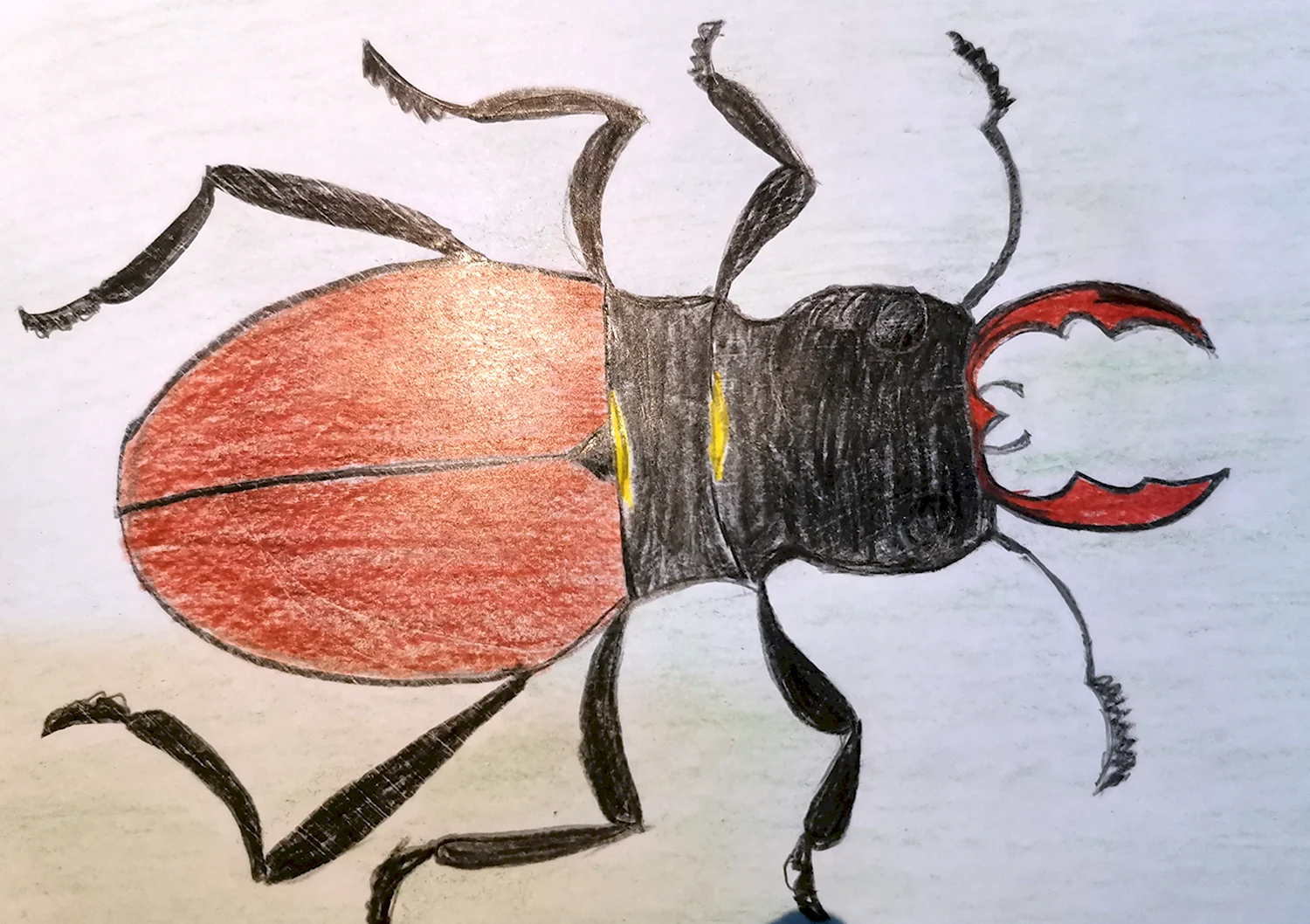 Рисование жука