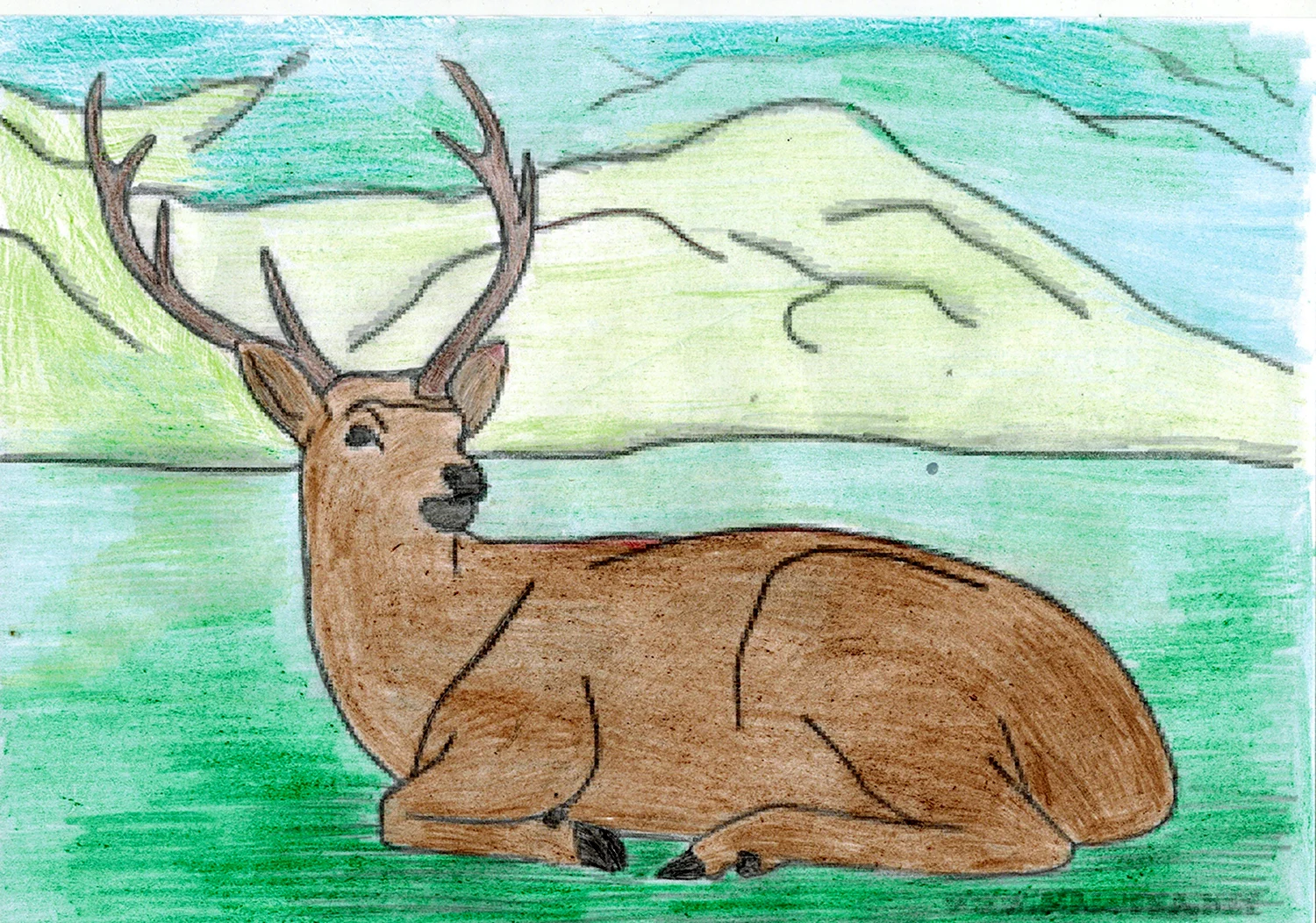 Рисунки для срисовки природа и животные