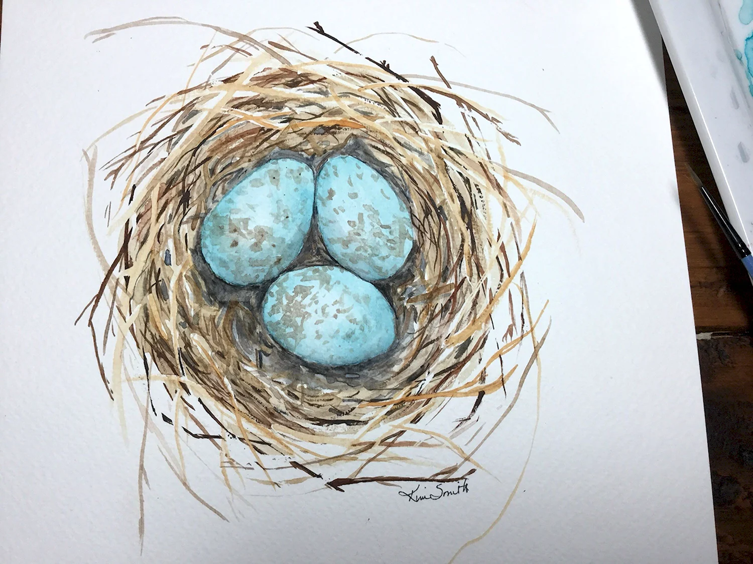 Рисунки гнездо с яйцами акварель