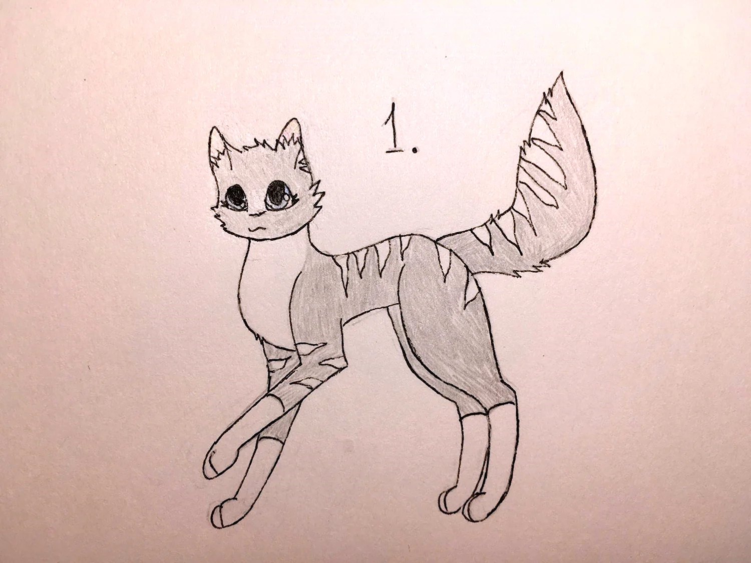Рисунки карандашом для срисовки коты